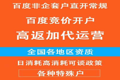高效营销利器——百度竞价代理实操案例